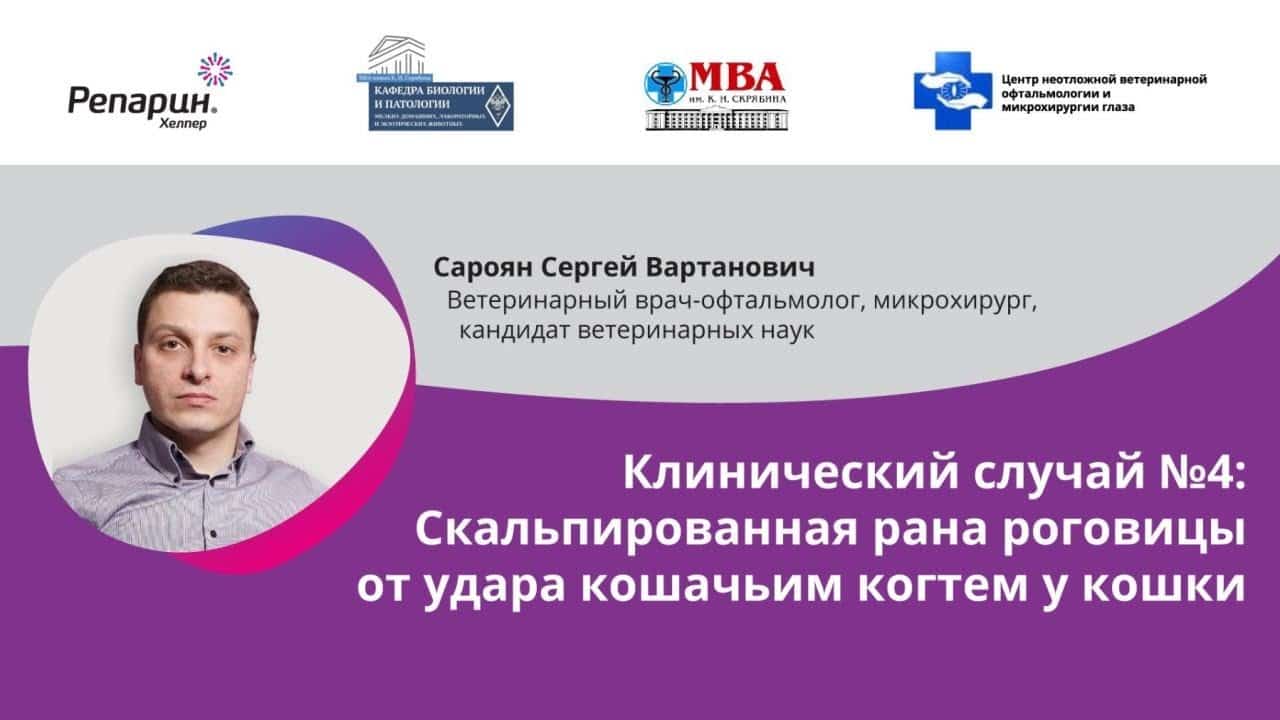 Заставка видео: клинический случай №4, скальпированная рана роговицы от кошачьего когтя у кошки