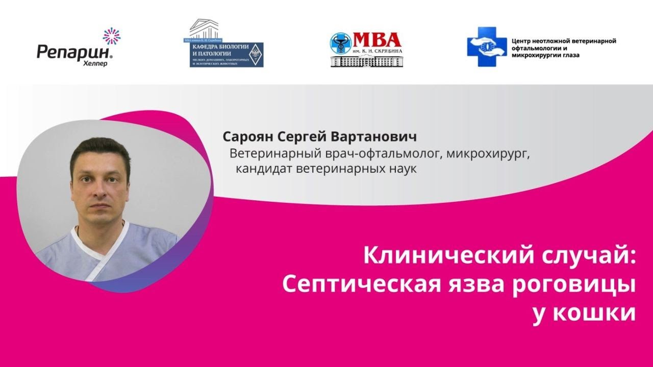 Заставка видео: клинический случай септической язвы роговицы у кошки, врач-офтальмолог Сароян