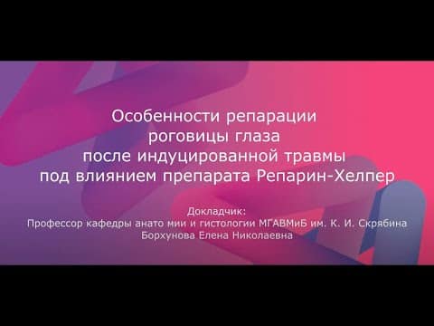 Заставка доклада профессора Борхуновой о репарации роговицы и препарате Репарин-Хелпер®