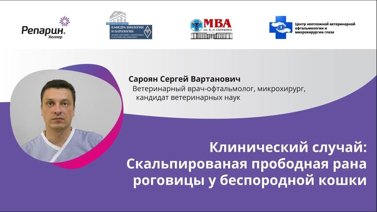 Заставка видео: клинический случай скальпированной прободной раны роговицы у беспородной кошки