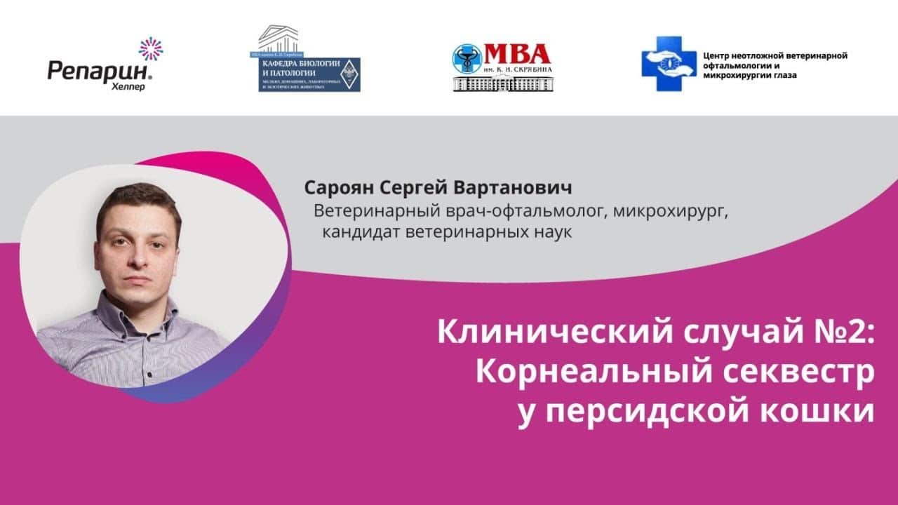 Заставка видео: клинический случай №2, корнеальный секвестр у персидской кошки