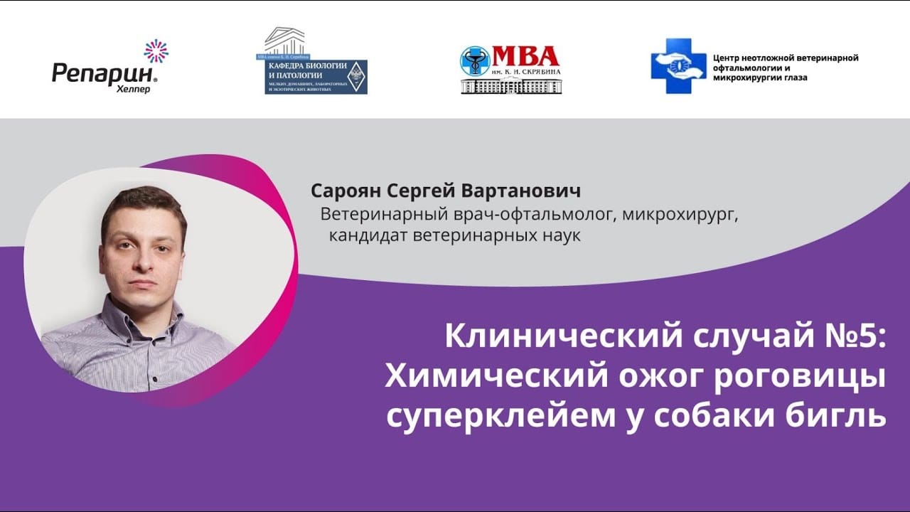 Заставка видео: клинический случай №5, химический ожог роговицы суперклеем у бигля