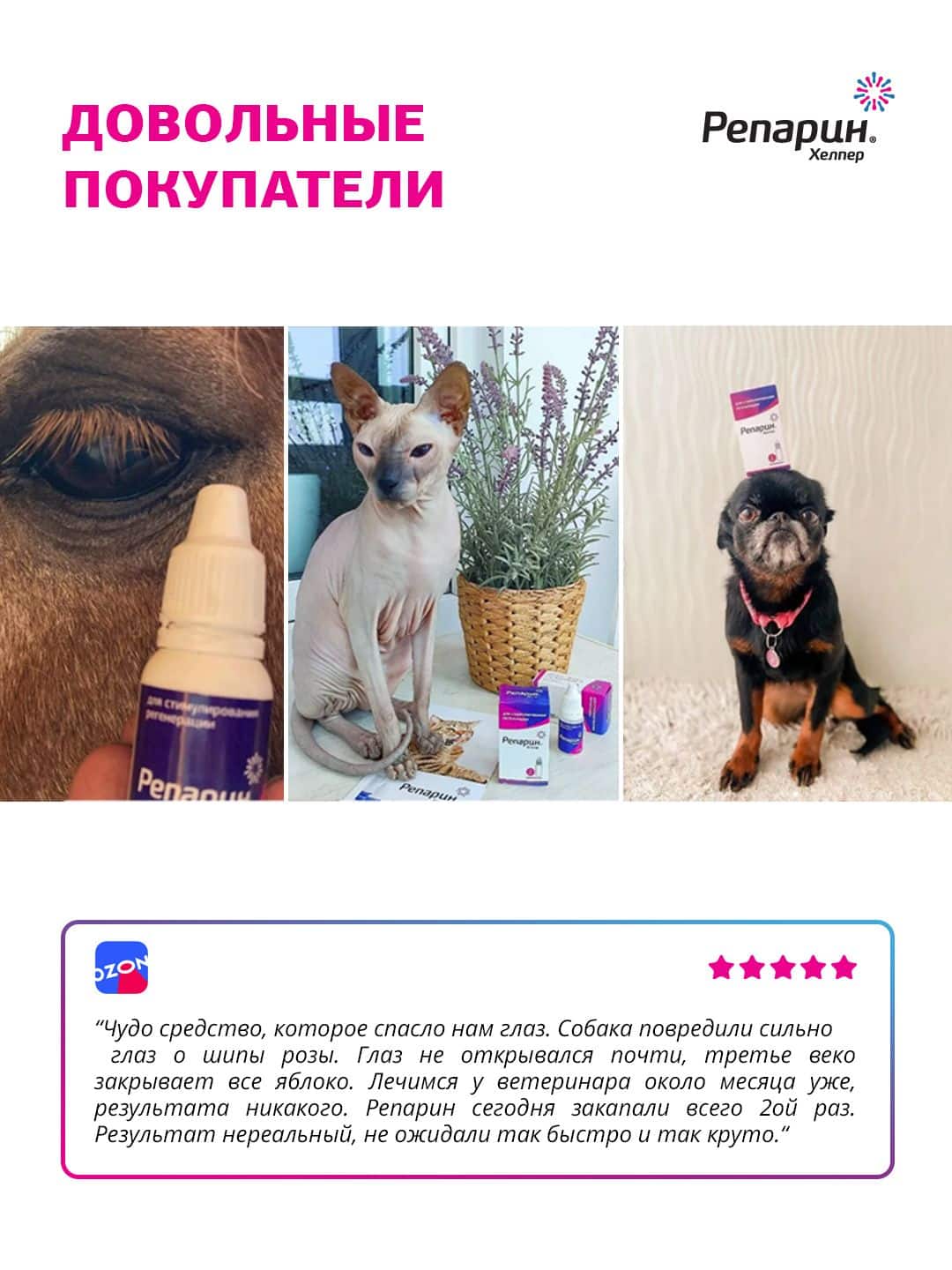Покупатели Репарин-Хелпер®: глаз лошади, кот сфинкс и щенок с упаковкой