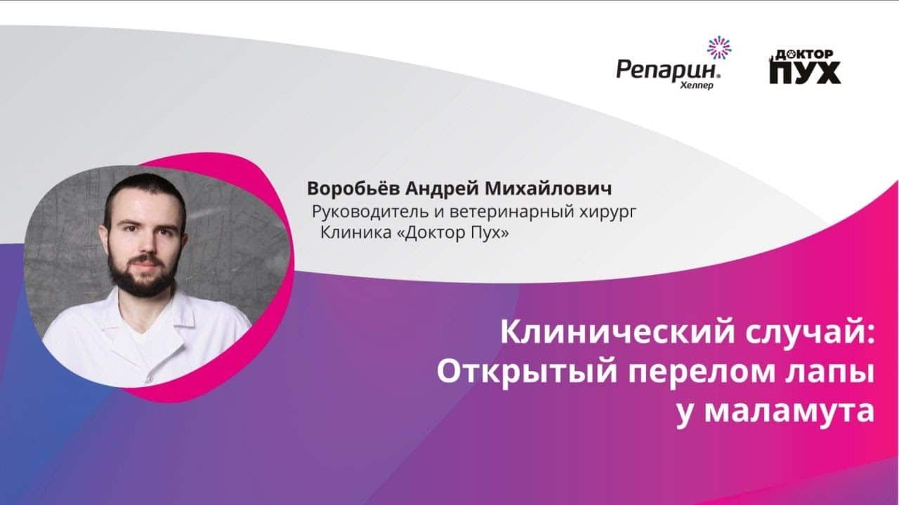 Заставка видео: клинический случай открытого перелома лапы у маламута, хирург Андрей Воробьёв