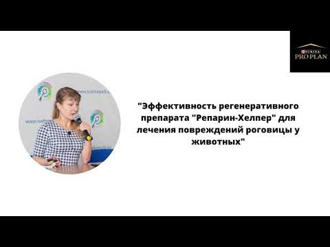 Заставка видеодоклада о применении Репарин-Хелпер® при повреждениях роговицы у животных