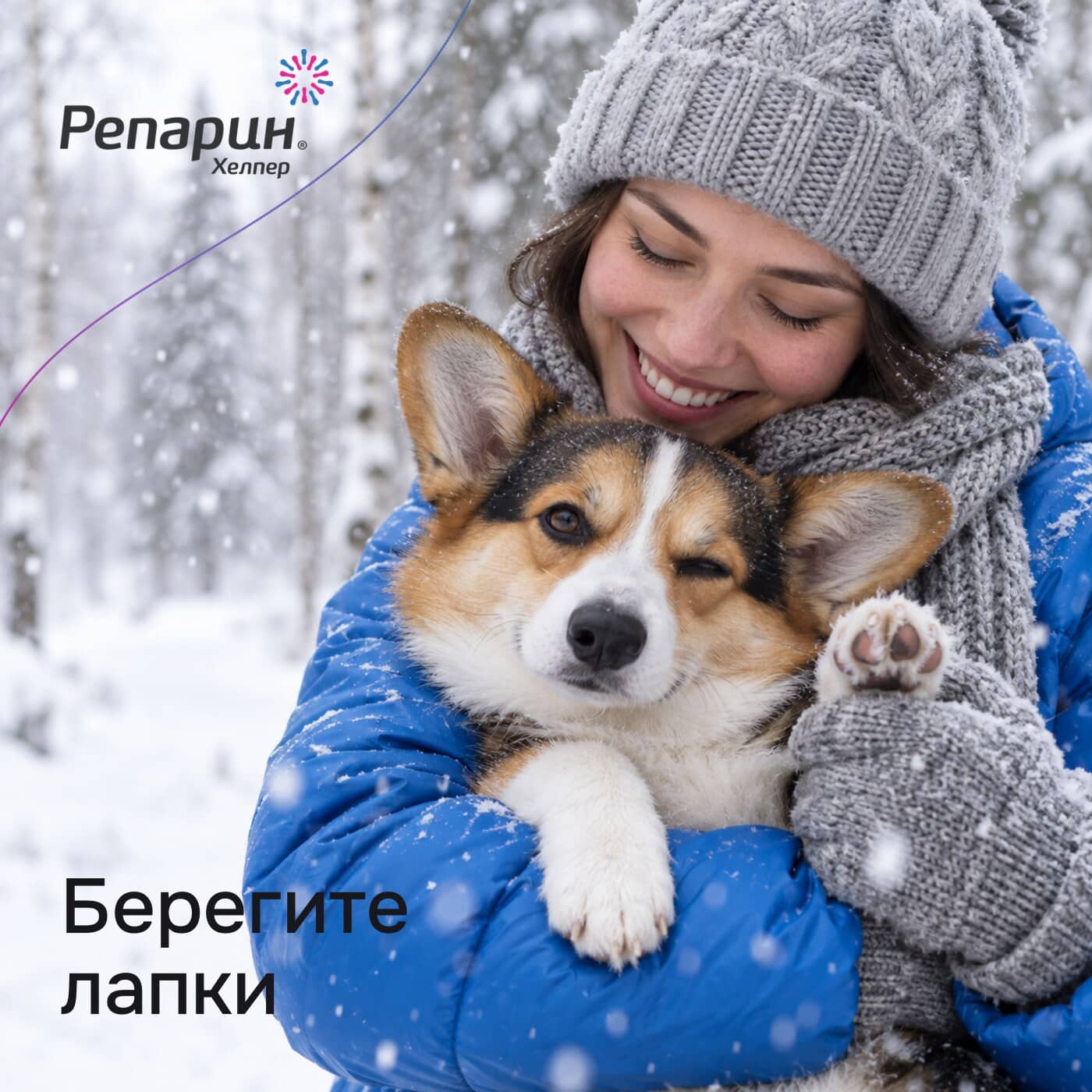 5 советов как защитить лапы собаки зимой